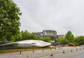 吉林北海鱼胶批发商家