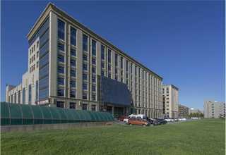 连云港室内绿植租赁多少钱